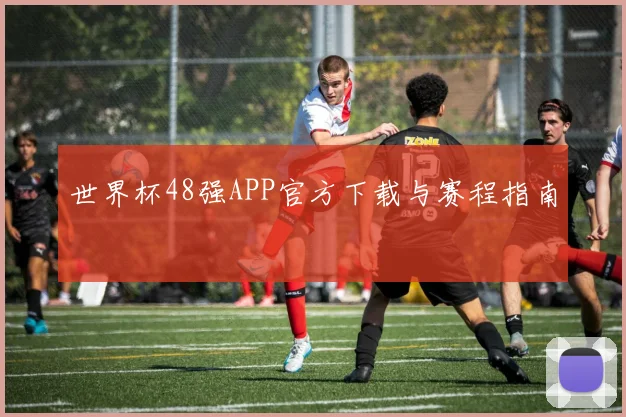 世界杯48强APP官方下载与赛程指南