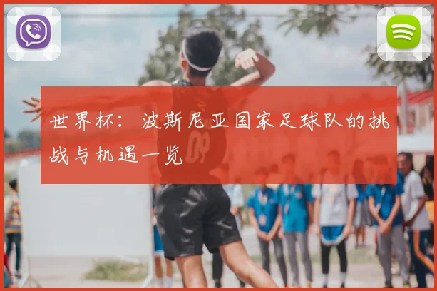 世界杯：波斯尼亚国家足球队的挑战与机遇一览
