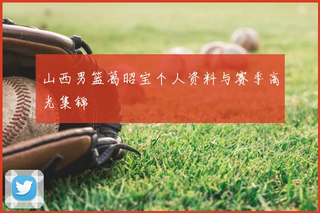 山西男篮葛昭宝个人资料与赛季高光集锦